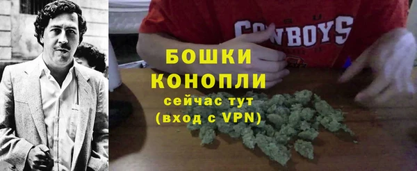 шишки Волоколамск