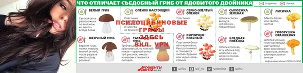 спиды Володарск