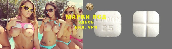 спиды Володарск