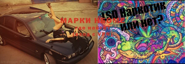 шишки Волоколамск